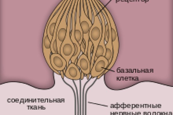 Ссылка на кракен kr2web in