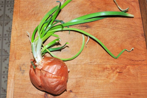 Кракен сайт купить наркотики