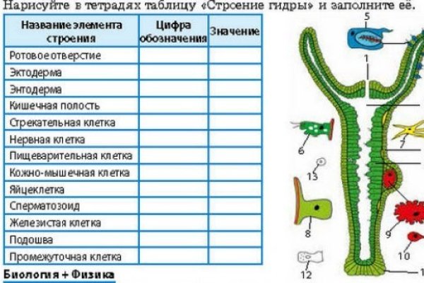 Кракен интернет площадка