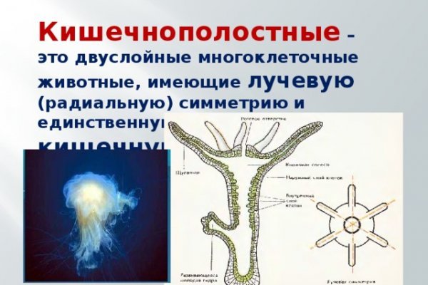 Кракен зеркало gigageek ru