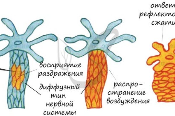 Kraken ссылка tg